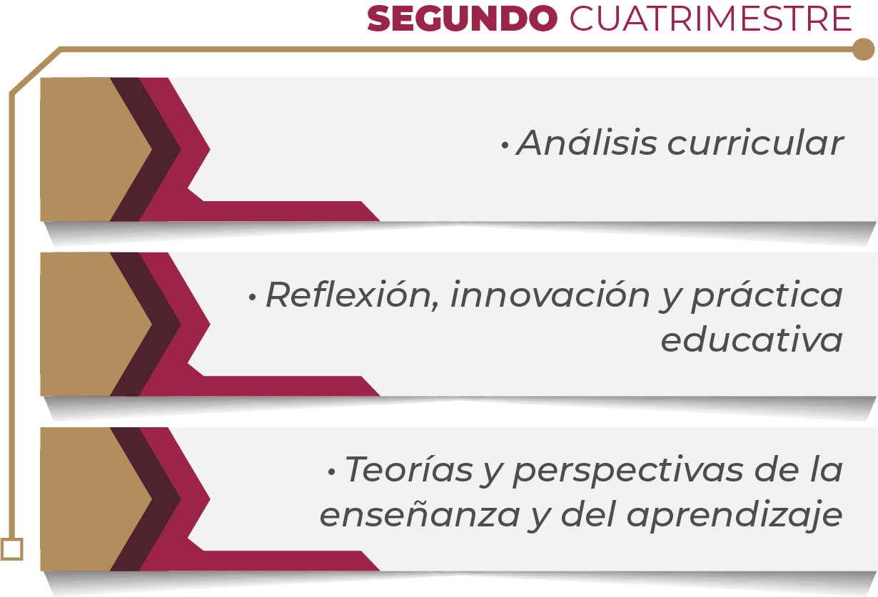 MAPA CURRICULAR GESTIÓN